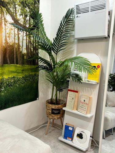 共用Lounge/電視區