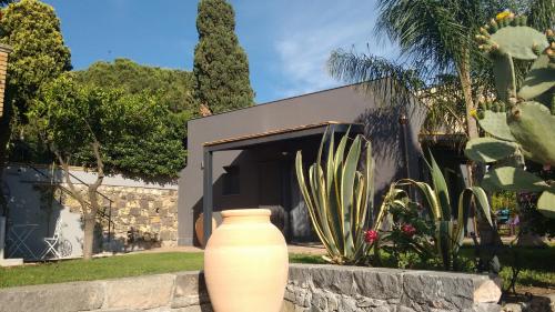 Avocado B&B Beyond - image 11