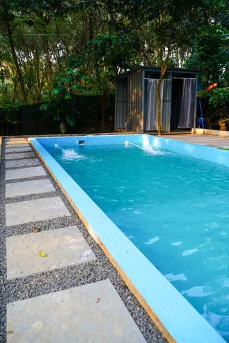 Zwembad, Misty Hills Cabin in Panamaram