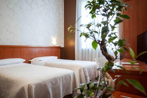 Hotel Universo - image 13