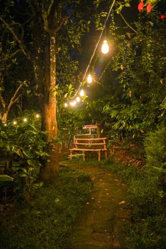 Misty Hills Cabin in Panamaram