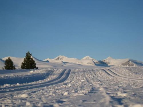 外部景觀, Bjørgebu Camping AS in 米素賽泰爾