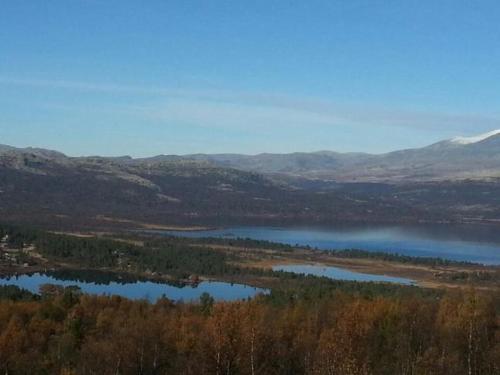 周邊環境, Bjørgebu Camping AS in 米素賽泰爾