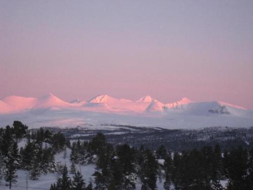 周邊環境, Bjørgebu Camping AS in 米素賽泰爾