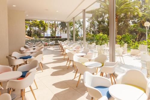 Port Denia - image 9