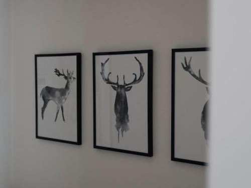 Residenza Borgo Vivaldi self check in apartment, Bergamo (fotografie 9)