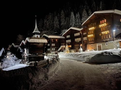 設施, Haus Bortis in 尼德華爾德