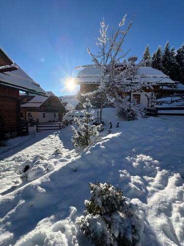 Bergdorf Riesner – Donnersbachwald, NV