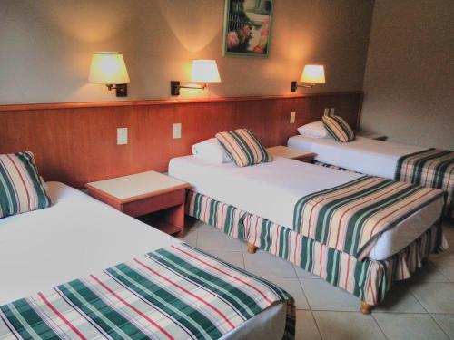 أجنحة ماركوبولو إيغواسو