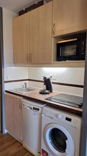 Kitchen, CAP ESTEREL studio 4 pers equipe, belle vue Golf, centre village PIERRE & VACANCES , PARKING inclus  in Saint-Raphael
