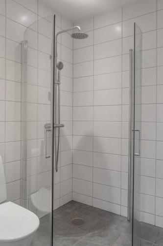 دش, Modern lägenhet i Sälen-Lindvallen (Modern lagenhet i Salen-Lindvallen) in سالين