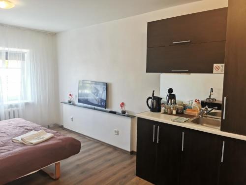 One-Bedroom Apartment room in Z17 River apartment studio