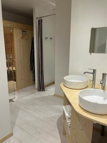 Grand appartement vue Montagne plein sud grand garage sur demande Grand appartement vue Montagne plein sud grand garage sur demande