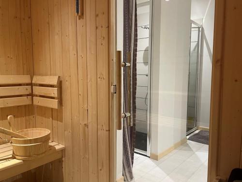 Grand appartement vue Montagne plein sud grand garage sur demande Grand appartement vue Montagne plein sud grand garage sur demande