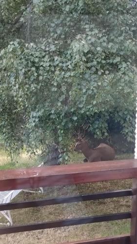 Grand appartement vue Montagne plein sud grand garage sur demande Grand appartement vue Montagne plein sud grand garage sur demande