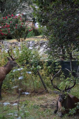 Grand appartement vue Montagne plein sud grand garage sur demande Grand appartement vue Montagne plein sud grand garage sur demande