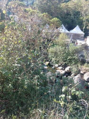 Hospedaje el rio calicanto