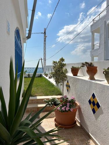 Dar El Bhar, villa sul mare – Kelibia, CO