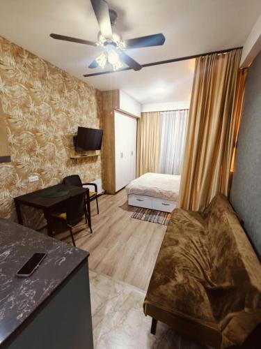 Studio apartment in Bakuriani, Bakuriani