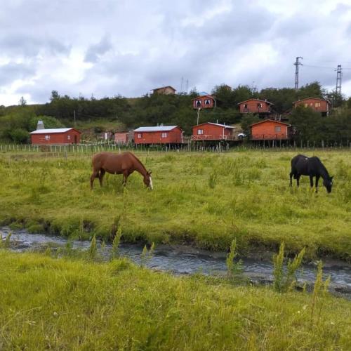 Cabañas Santa Flavia