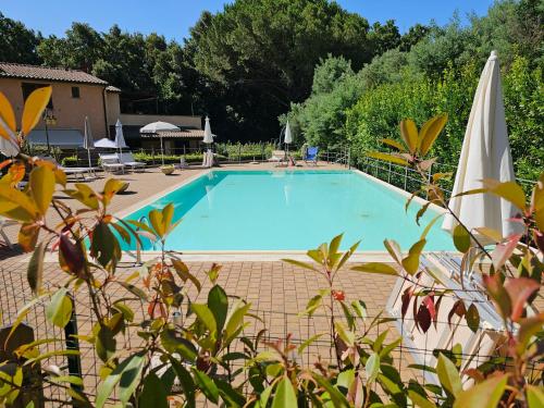 Matteo's Apartments in Guardistallo