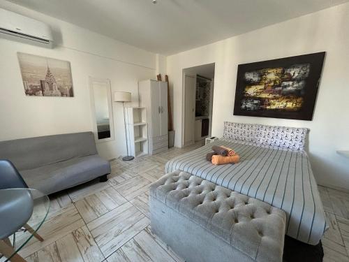 Center Apartment Studio