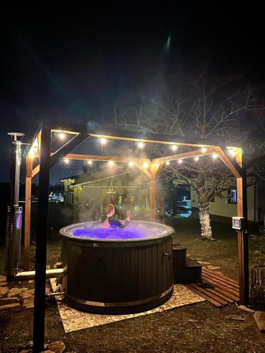 Viesnīcas āriene, La Casetta - O întreagă căsuță ca în povești (La Casetta - O intreaga casuta ca in povesti) in Baia Sprie