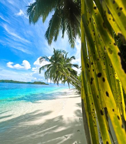 Lingkungan sekitar, Likat Surf House in Pulau Mentawai