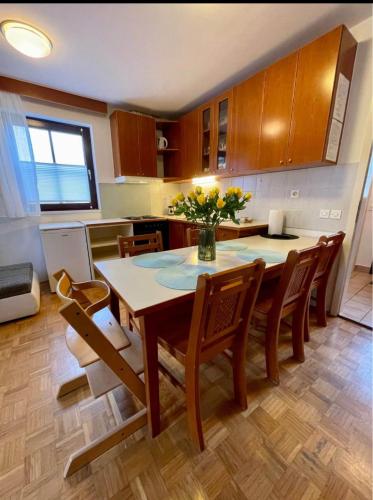 Terme Čatež apartma Maestro (Terme Catez apartma Maestro) in Чатеж Об Саві