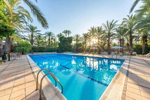 泳池, 千年花园住宿 (Jardin Milenio) in 埃尔切