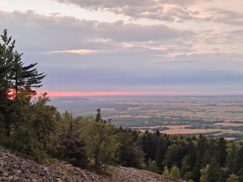 Gospodarstwo Pytlówka Sokalski Michał