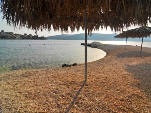  Apartments Nikica in Seget Vranjica