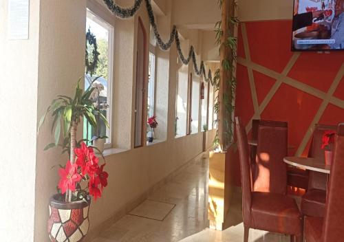 Hotel Yahalis in San Francisco Soyaniquilpan