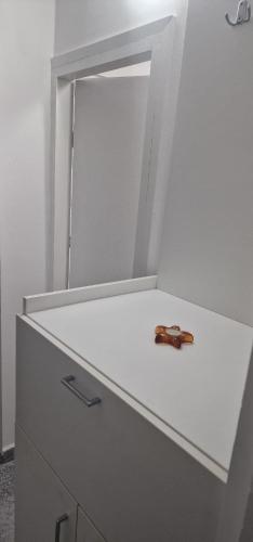 Wohnung in Nähe Maksimir EG, Zagreb (Foto 5)