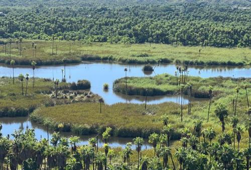 Rancho Ecologico Sol De Mayo in Santiago (Baja California Sur)