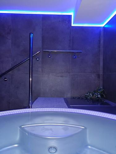 Penzion a wellness - JILAN, Náves Svobody 39, Olomouc (Penzion a wellness - JILAN, Naves Svobody 39, Olomouc) in โฮลิเซ