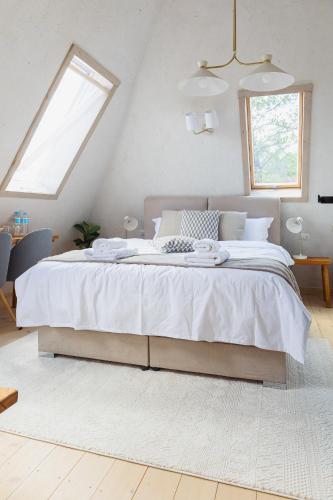 Rustic Inn bed and breakfast in Budesti