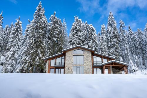 Chalet Pamporovo in Pamporovo