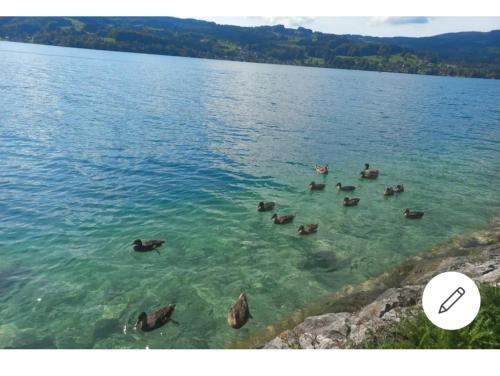 周邊環境, Ferienwohnung Katharina in 史坦巴赫岩阿特爾西