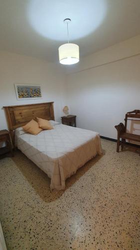 Departamento en Peatonal 83