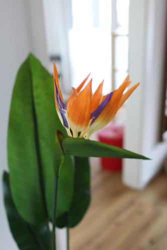 Apartment "London" in Erftstadt - 3 Zimmer & 63qm - nahe Köln, Messe, Phantasialand & Bonn - Familienurlaub oder Business Trip Apartment "London" in Erftstadt - 3 Zimmer & 63qm - nahe Köln, Messe, Phantasialand & Bonn - Familienurlaub oder Business Trip