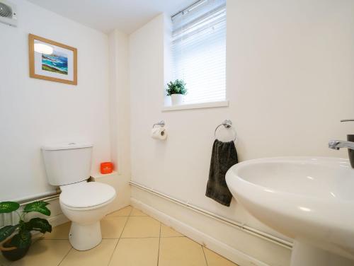 The Sty, rural retreat for couples, Falmouth (foto 4)