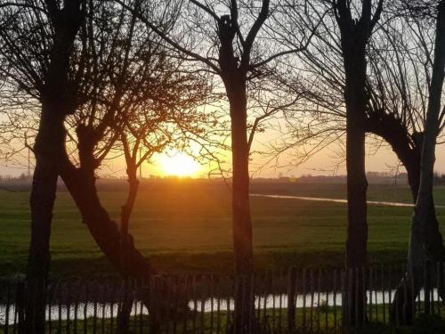 A környék, Pretty holiday home in Burgerburg in Burgerbrug