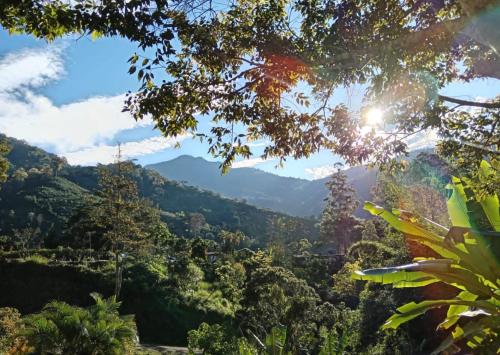 Kilátás, La cabaña de Eugenio (La cabana de Eugenio) in San Ignacio