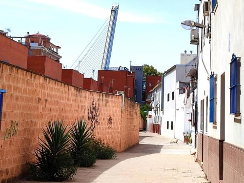 Estudio Alamillo 1, Seville (photo 3)