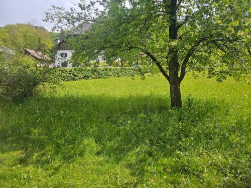 Ferienwohnung Melissa in 史坦巴赫岩阿特爾西