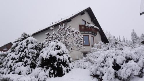 A szálláshely kívülről, Ferienwohnnung Ruth - Familienurlaub im Erzgebirge in Bad Schlema