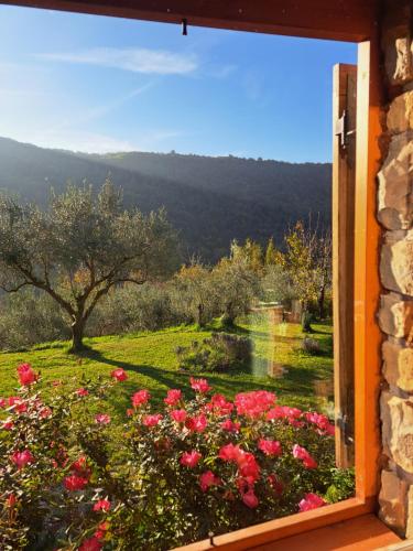 Kilátás, House in Istria in pristine nature in Pomjan