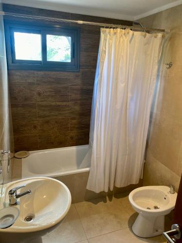 One-Bedroom Apartment image 10