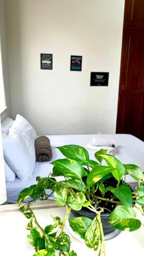 Double Room image 5